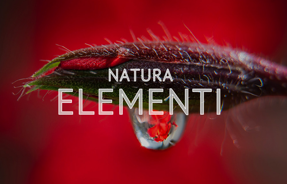 Marco Lazzari | Elementi naturali